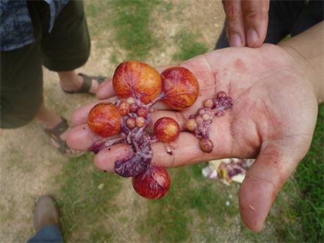 ںʡIhu(chng)g(sh)ָ(do)DVW(xu)(x)